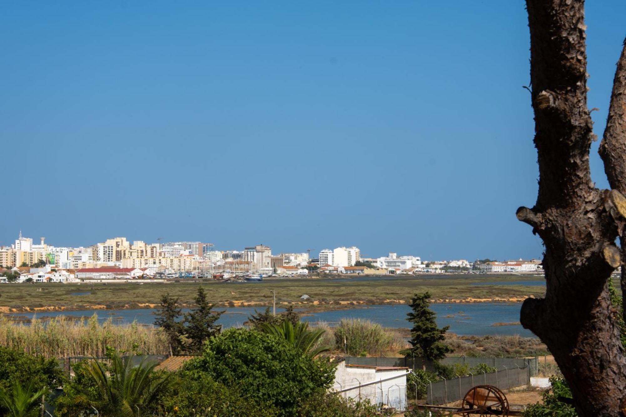 Ria Formosa Guest House ファロ エクステリア 写真