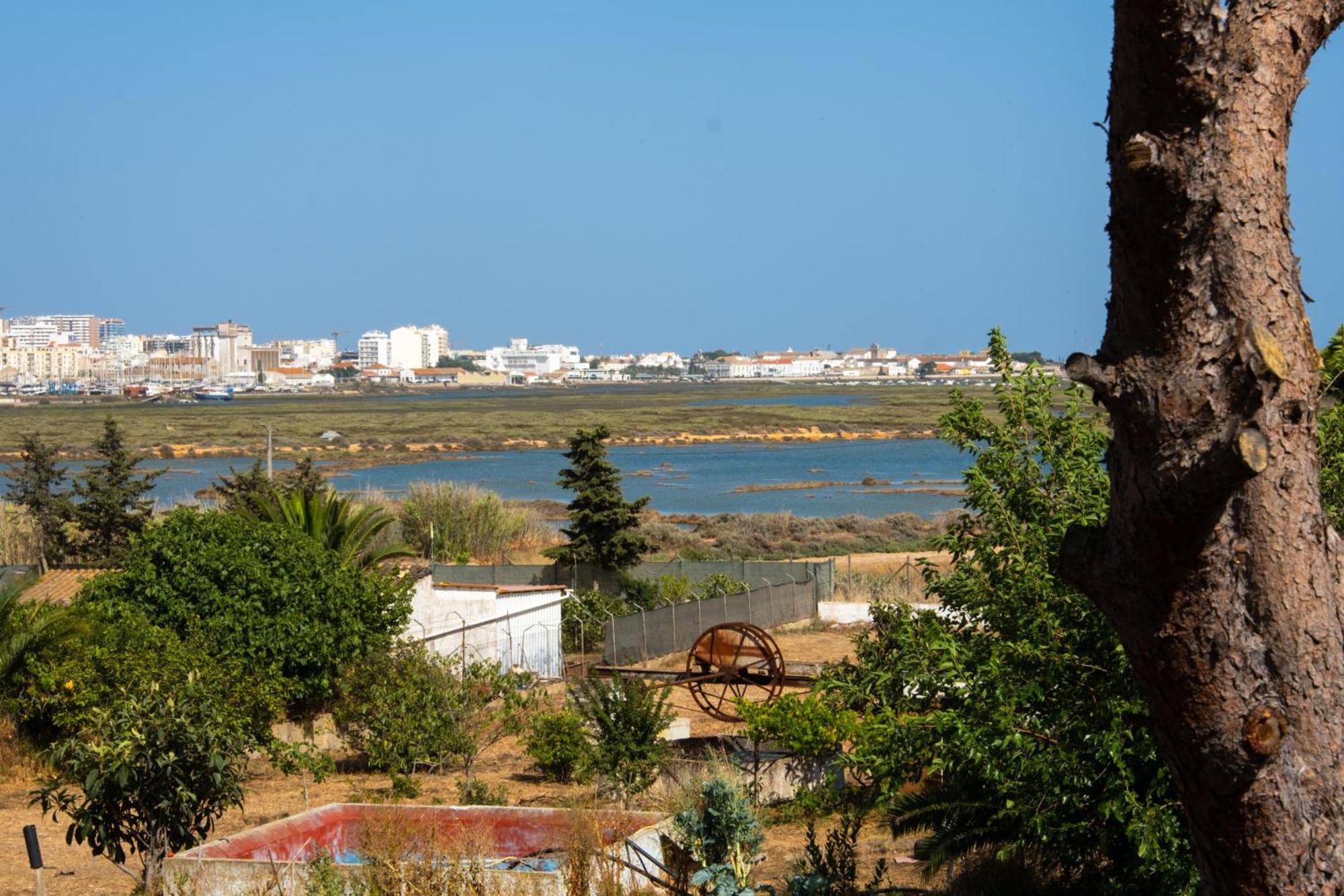 Ria Formosa Guest House ファロ エクステリア 写真