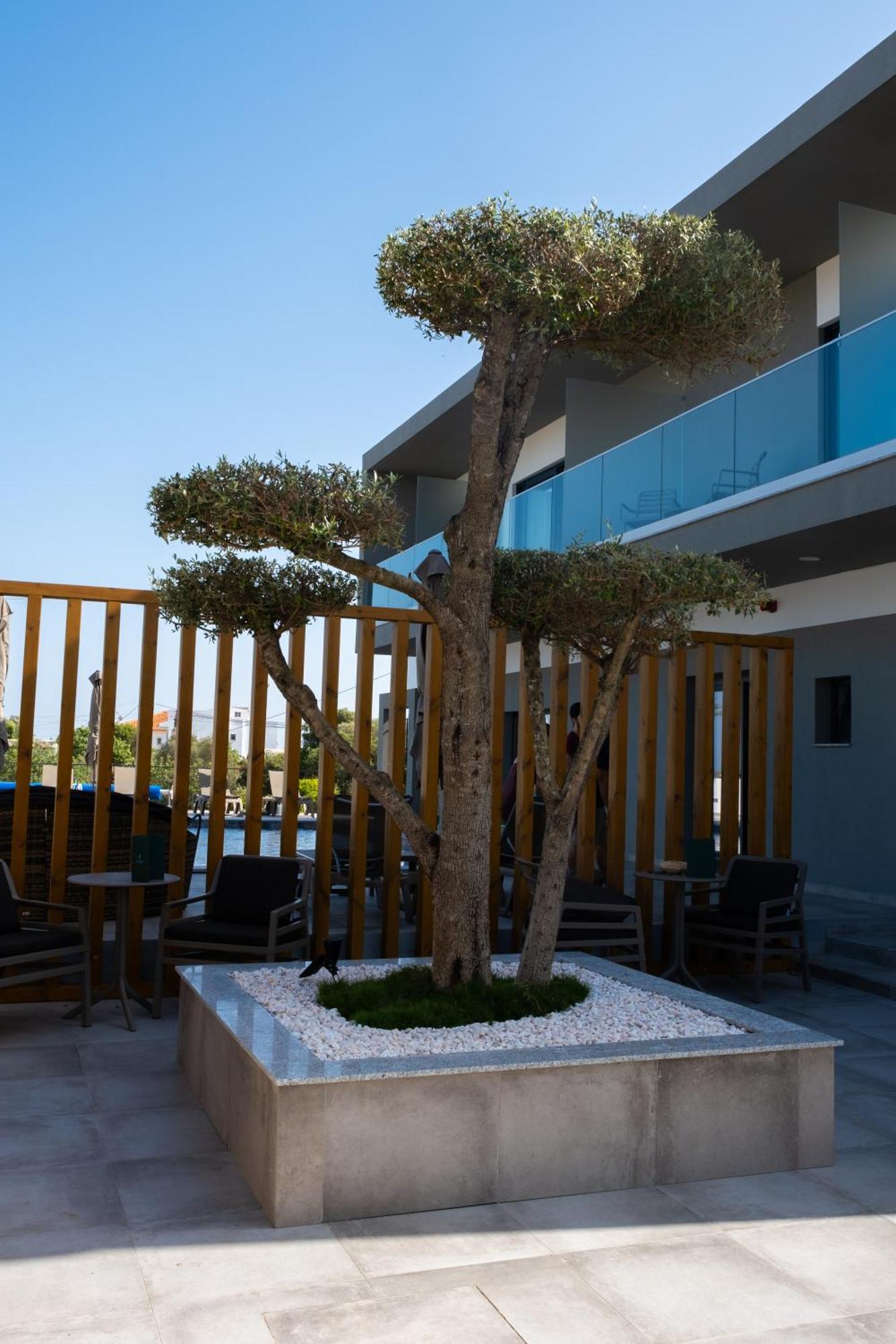 Ria Formosa Guest House ファロ エクステリア 写真